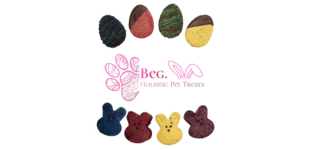 Feature Friday: Beg. Holistic Pet Treats – Love, Legacy, and Handcrafted Goodness