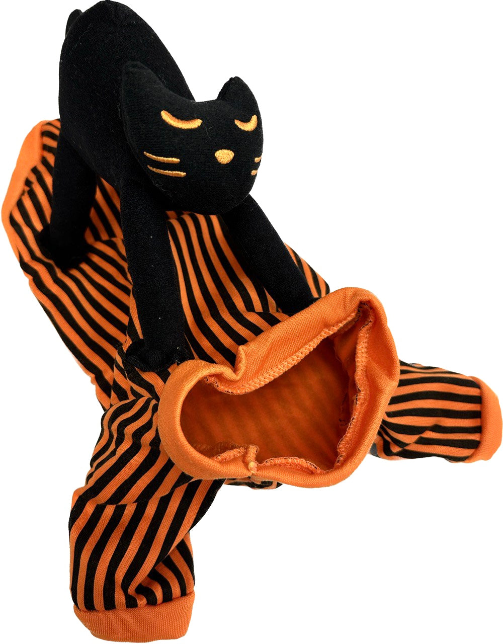 Black Cat Rider Costume
