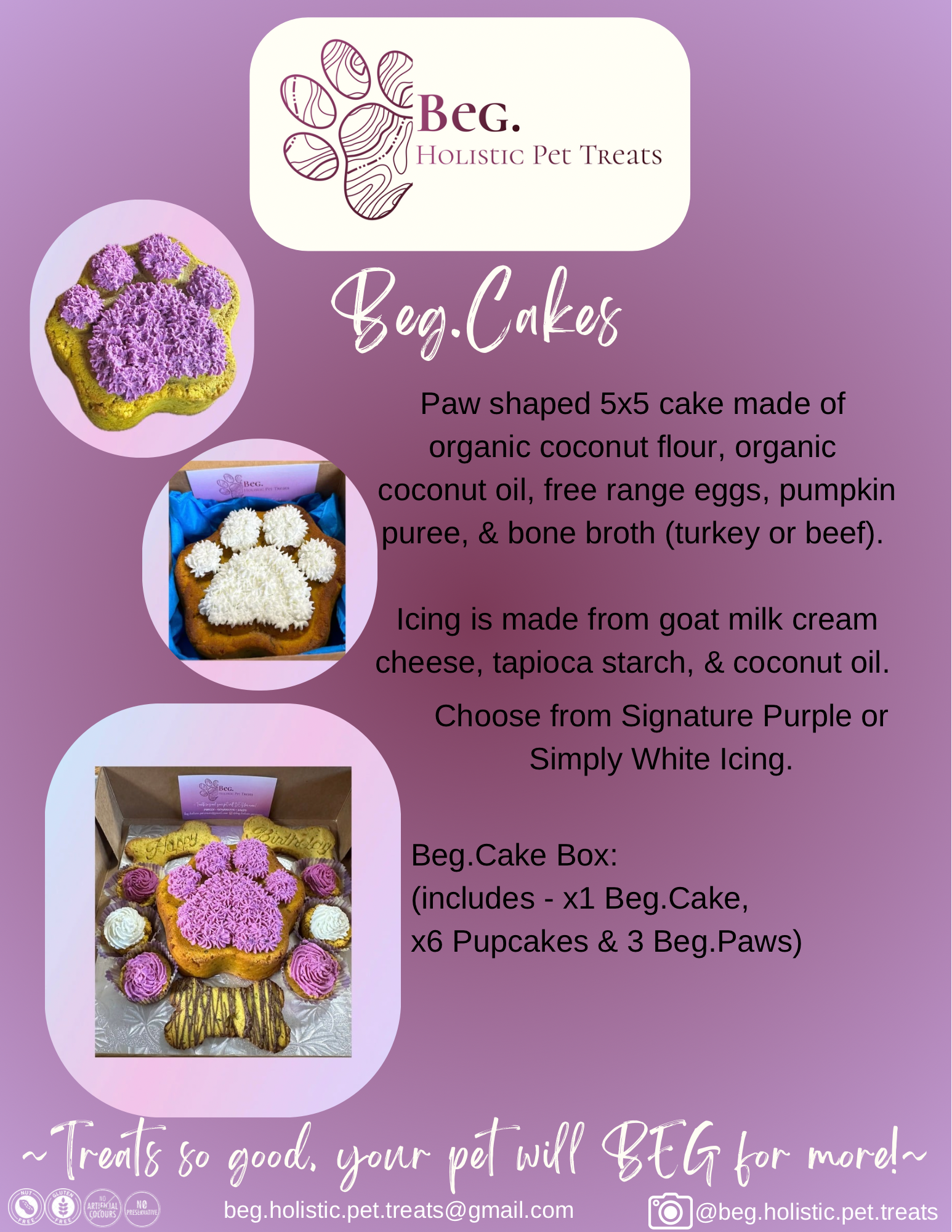 Beg. Cake Box Holistic Pet Treats