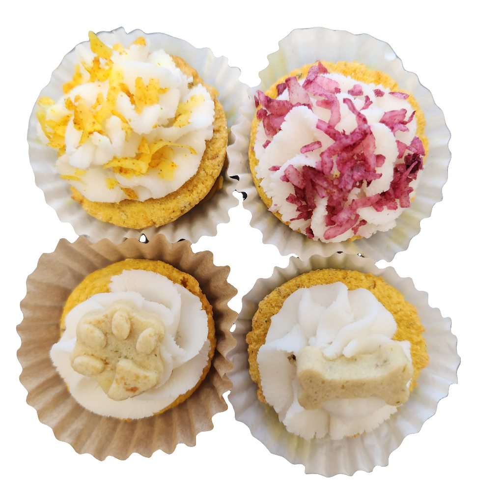 Beg Holistic Limited Ingredient Pupcakes Coconut or Paw & Bone 2"