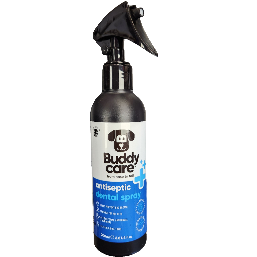 Buddy Care Antiseptic Dental Spray 200ml