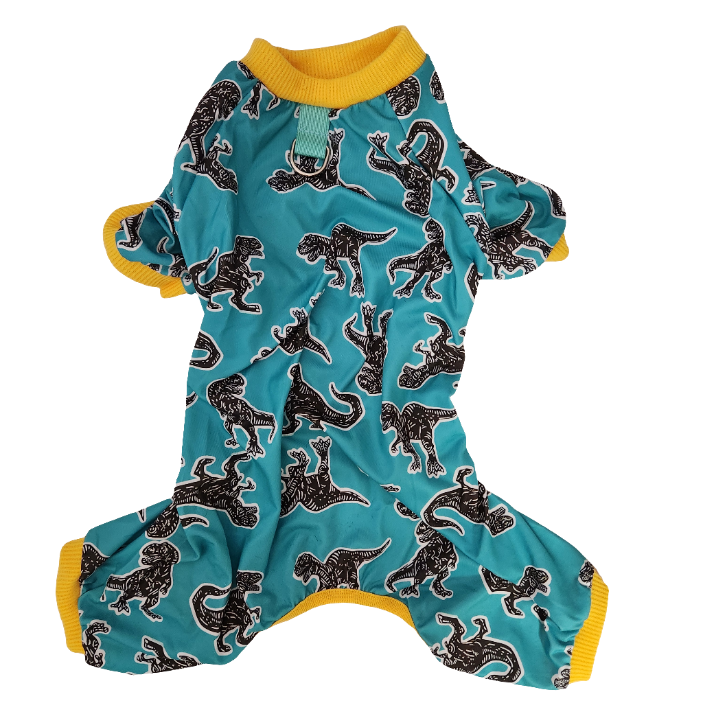 Dinosaur PJ'S for Pets