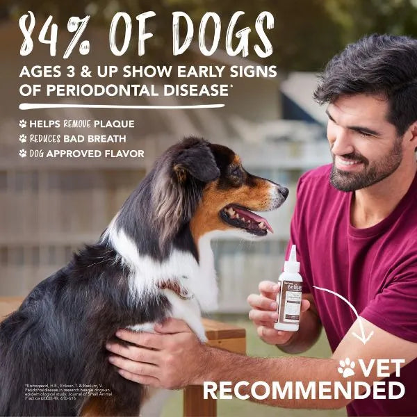 TropiClean Enticers Teeth Cleaning Gel for Dogs - Peanut Butter & Honey