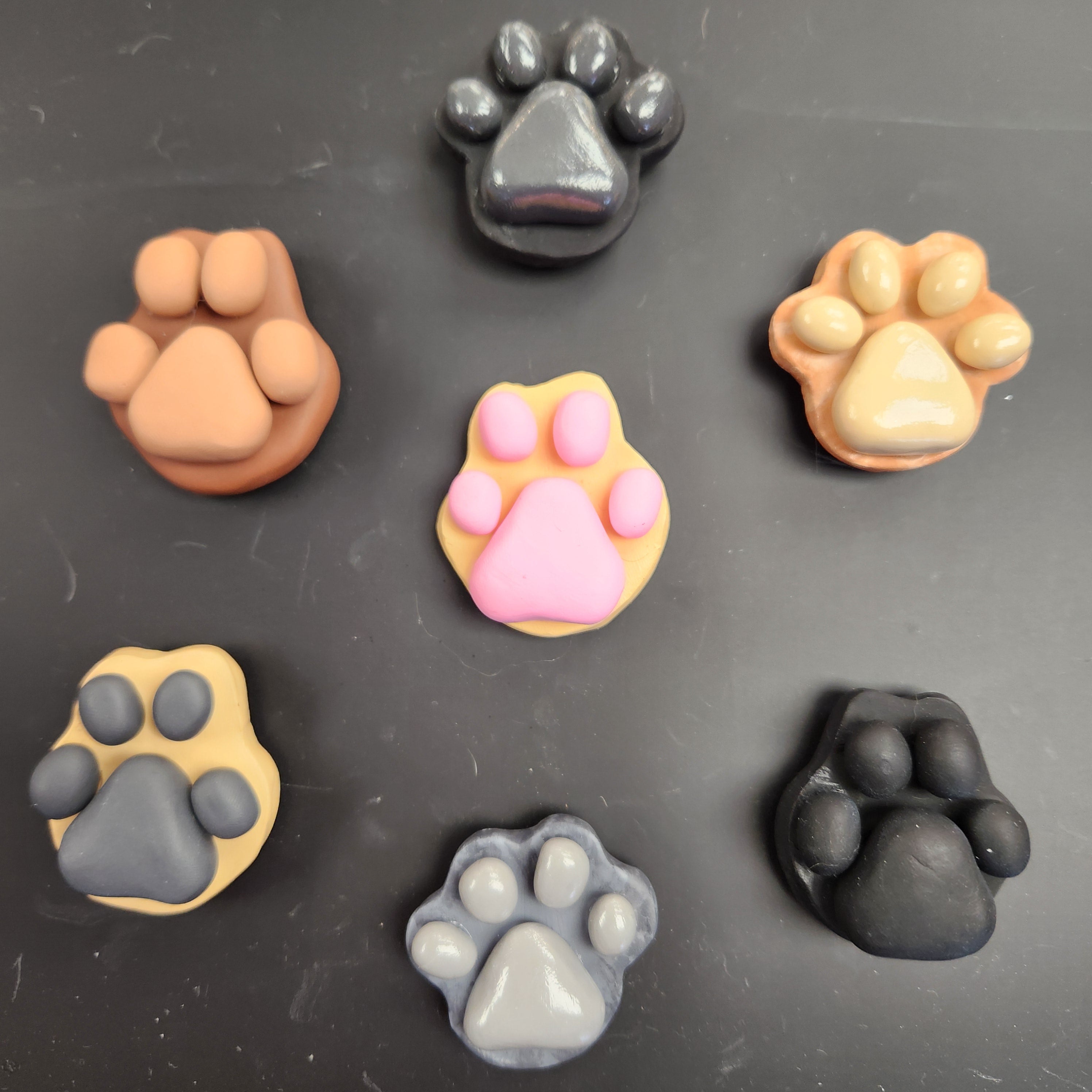 Paw Magnets by Ally