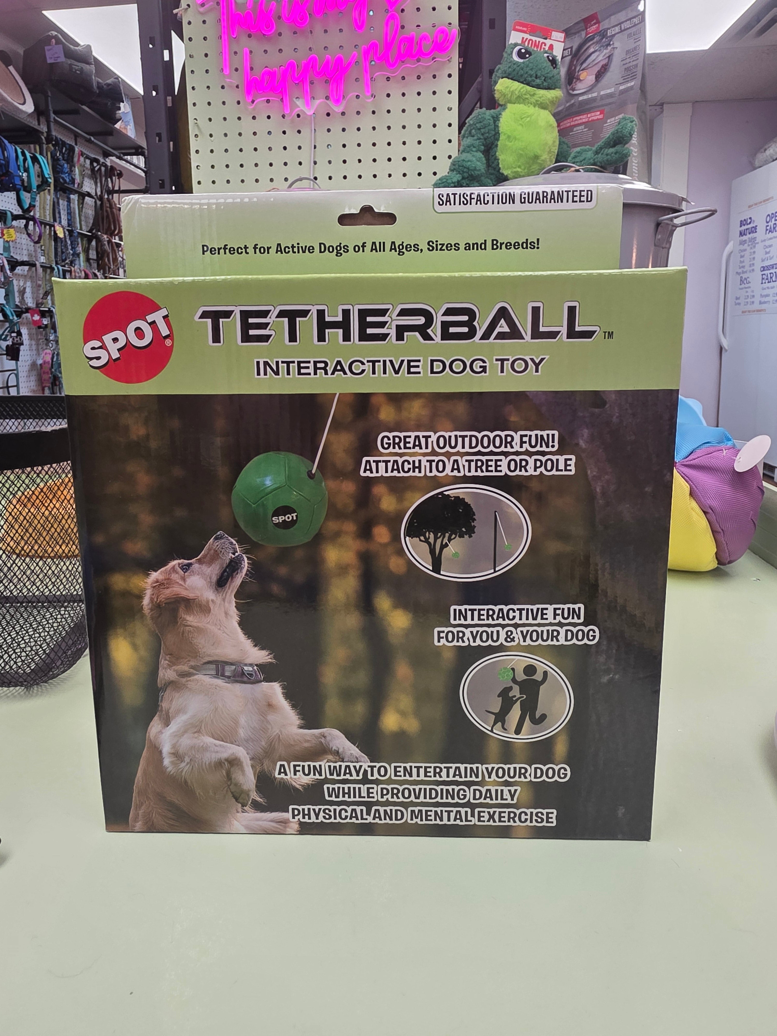 SPOT Tetherballwith E-Z Tabs, Interactive Dog Toy