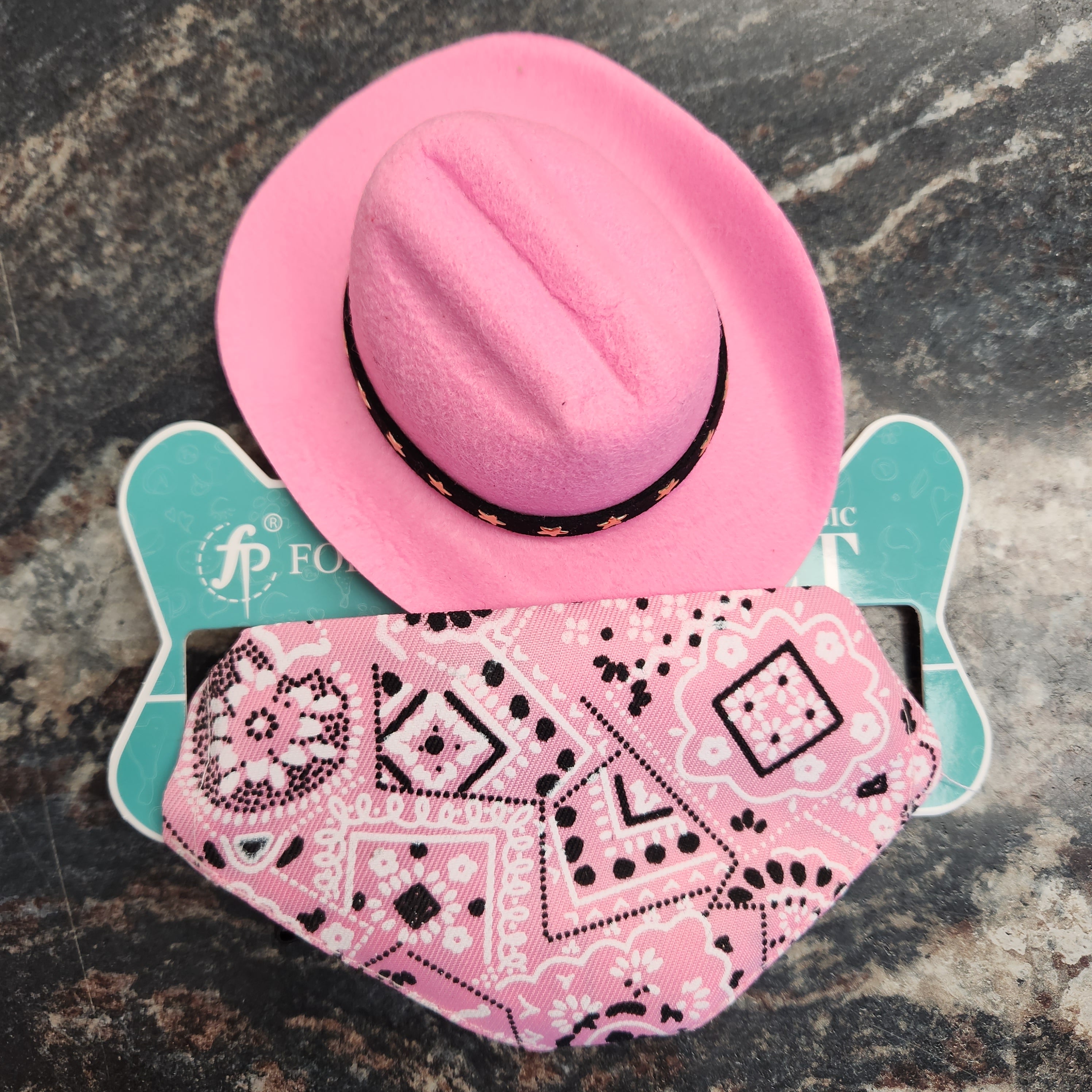 Cowboy Hat & Bandana Set for Small Dogs or Cats