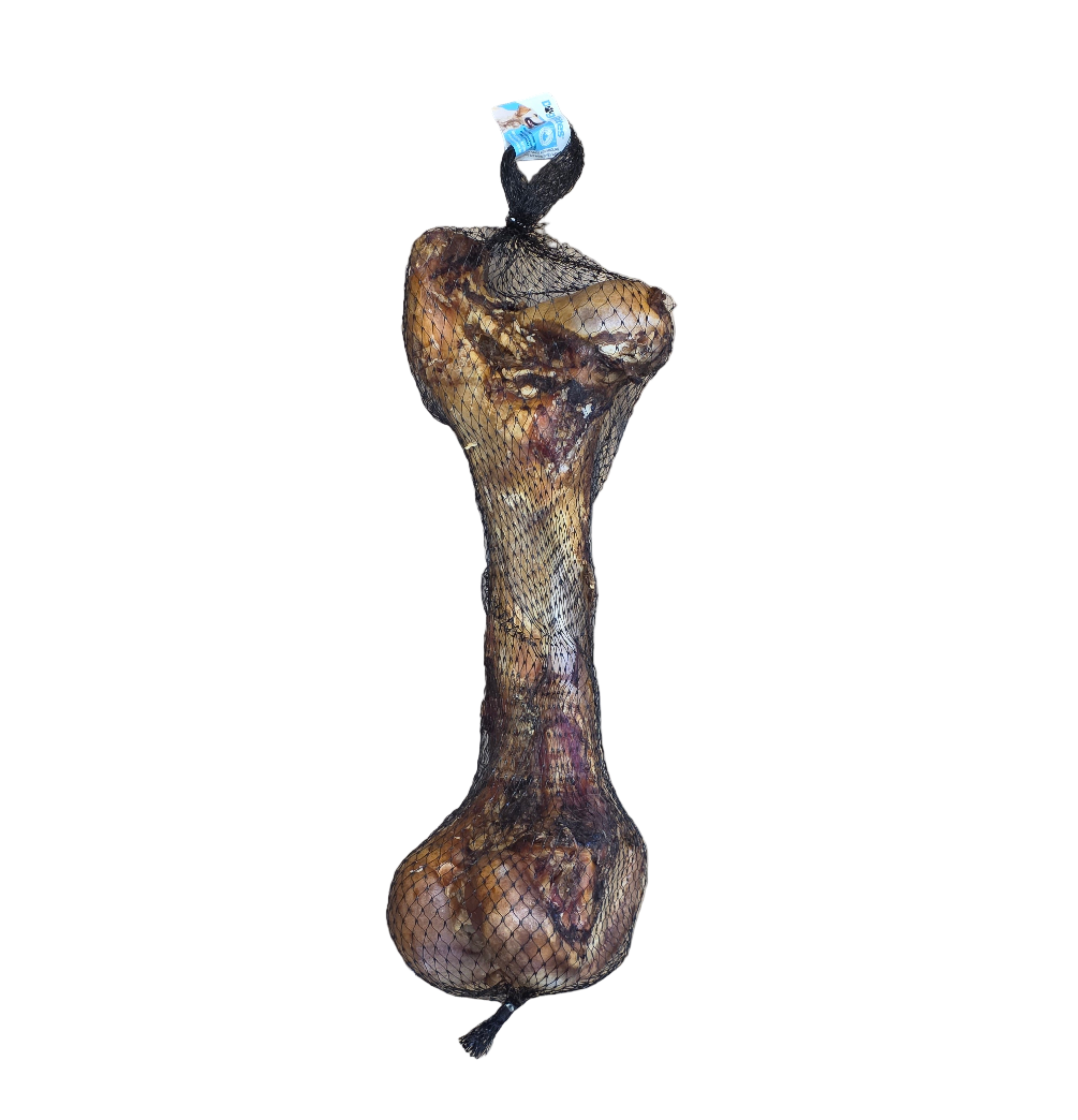 Dog Bites, Giant Femur Bone, 16"