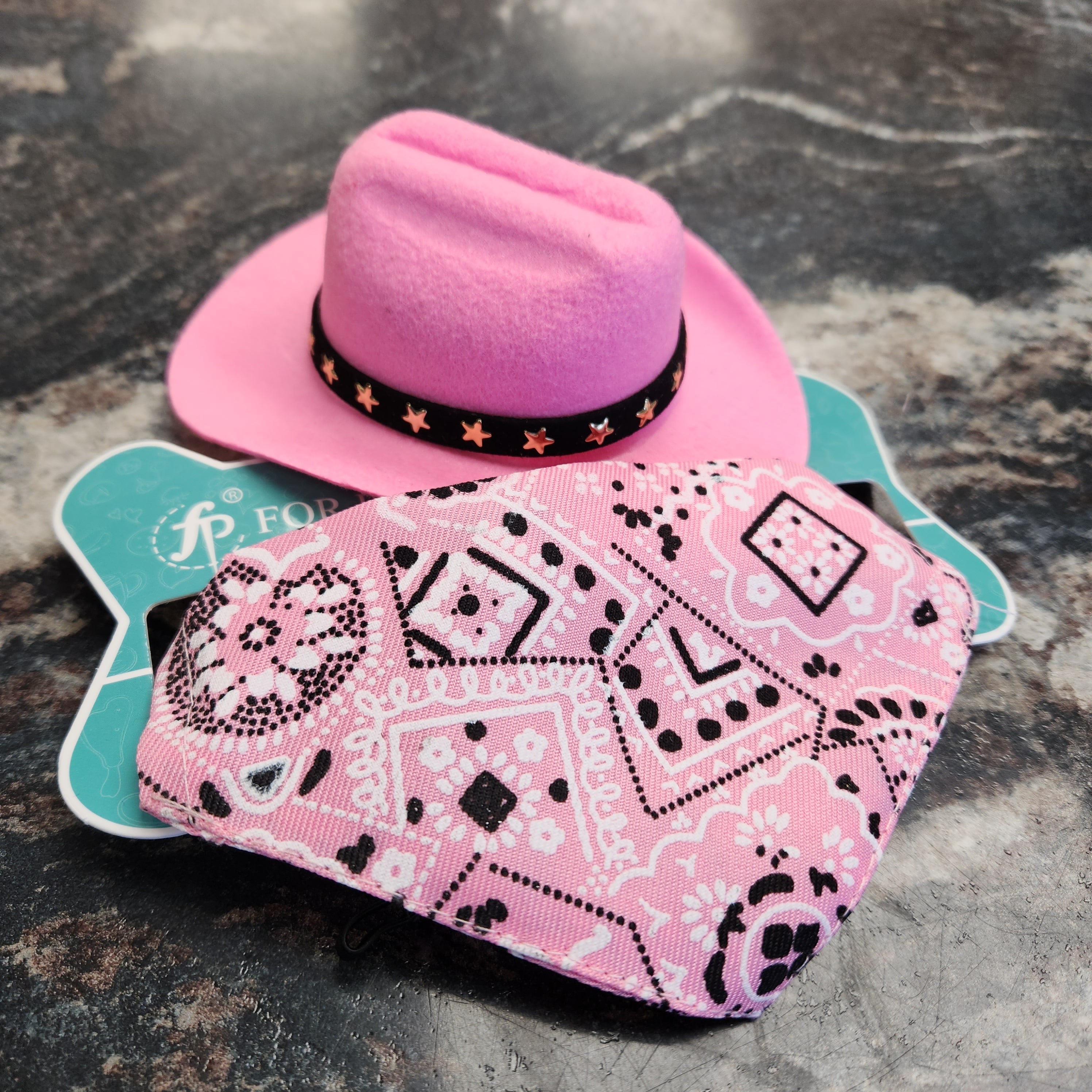 Cowboy Hat & Bandana Set for Small Dogs or Cats