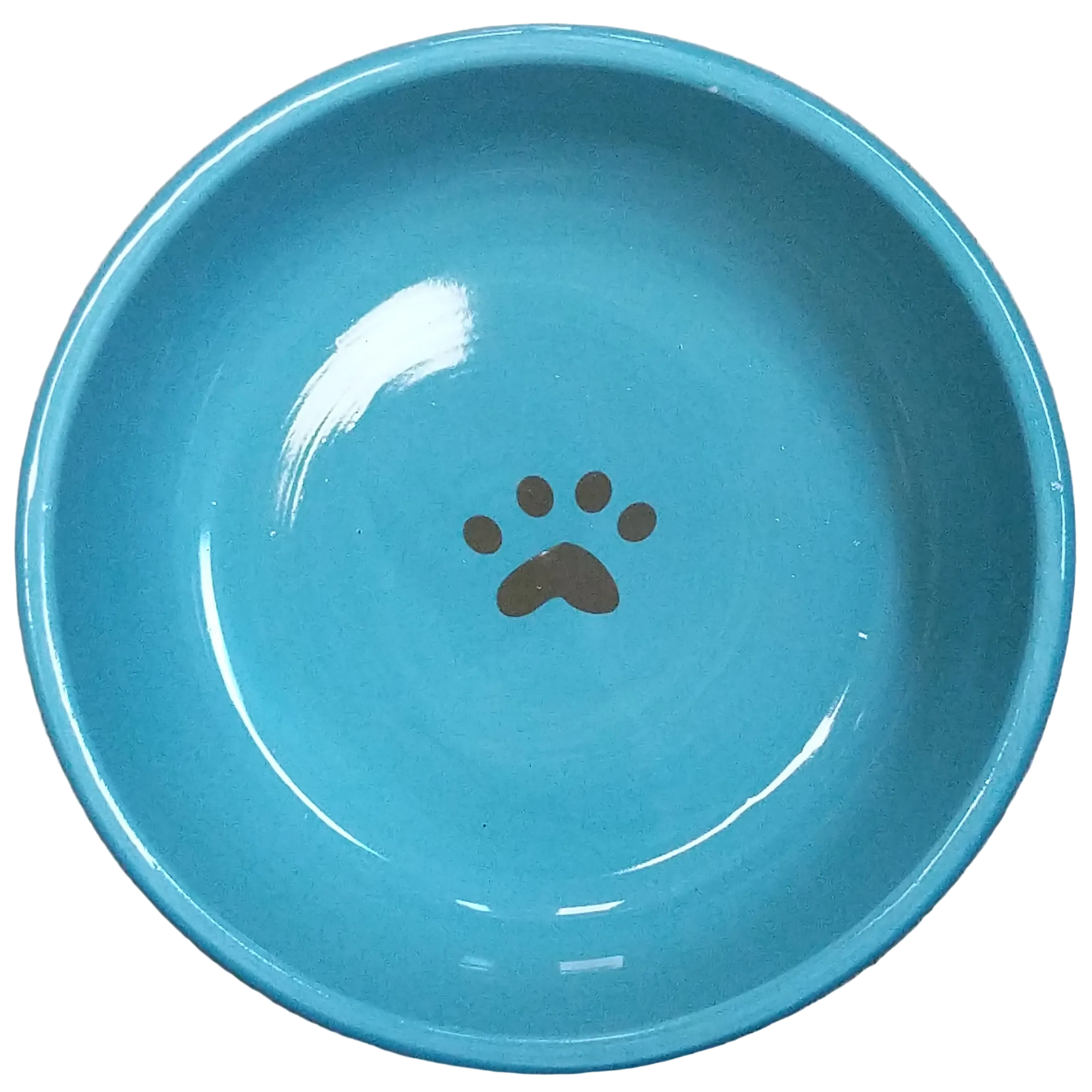 SPOT Elegance Dog Dish, Aqua