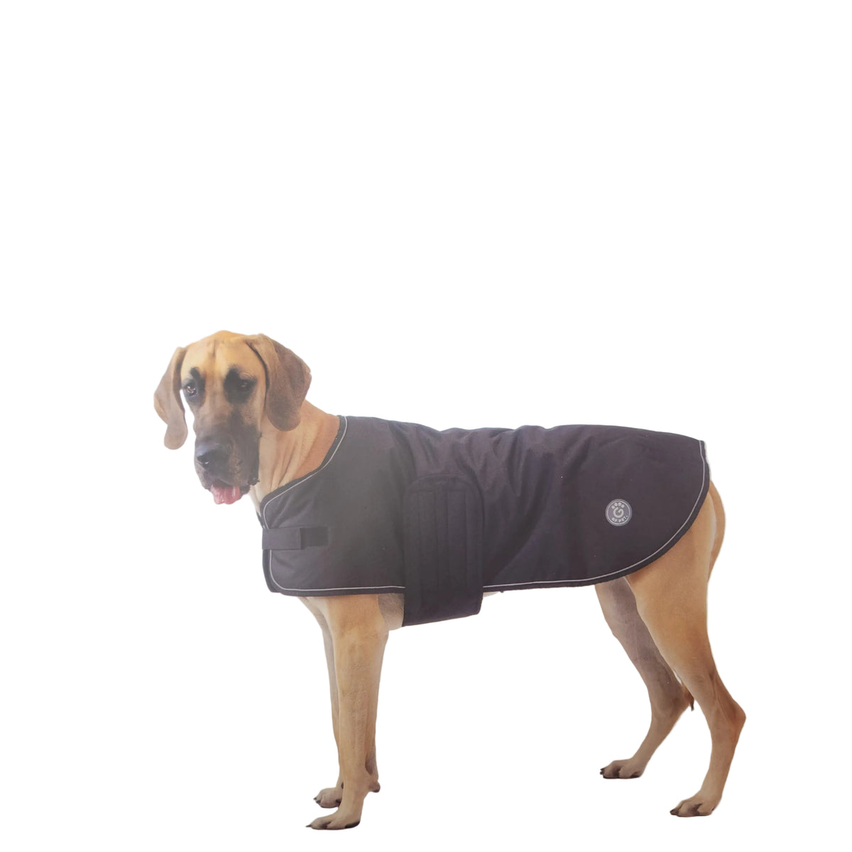 GF Pet Blanket Jacket - Black