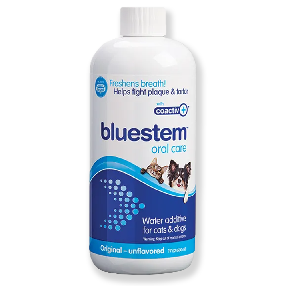 Bluestem Oral Care Additif pour eau pour chats et chiens (500 ml)