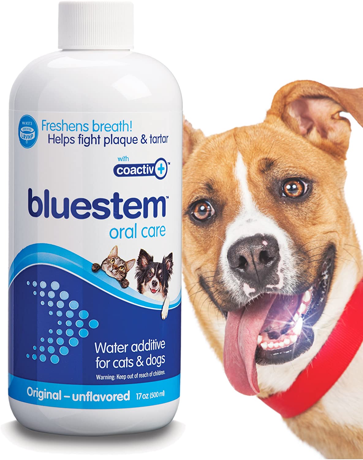 Bluestem Oral Care Additif pour eau pour chats et chiens (500 ml)