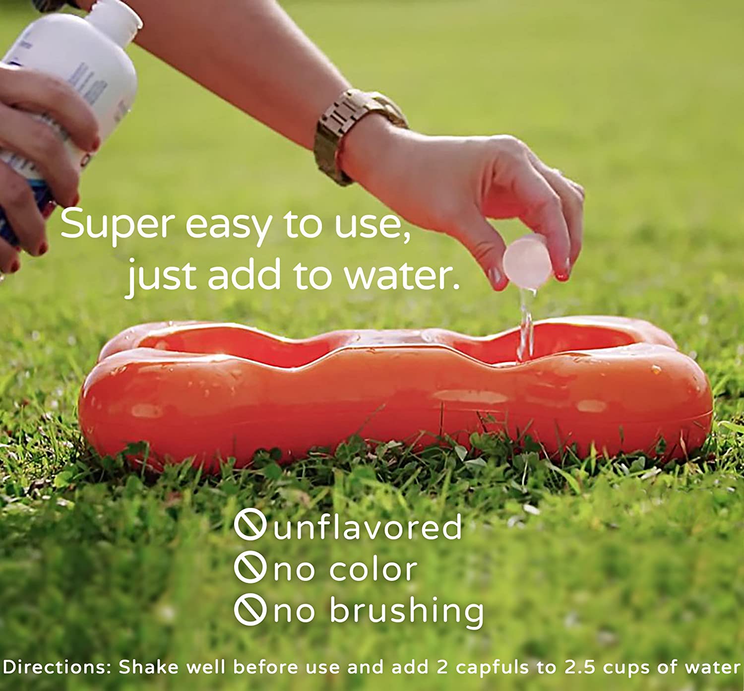 Bluestem Oral Care Additif pour eau pour chats et chiens (500 ml)