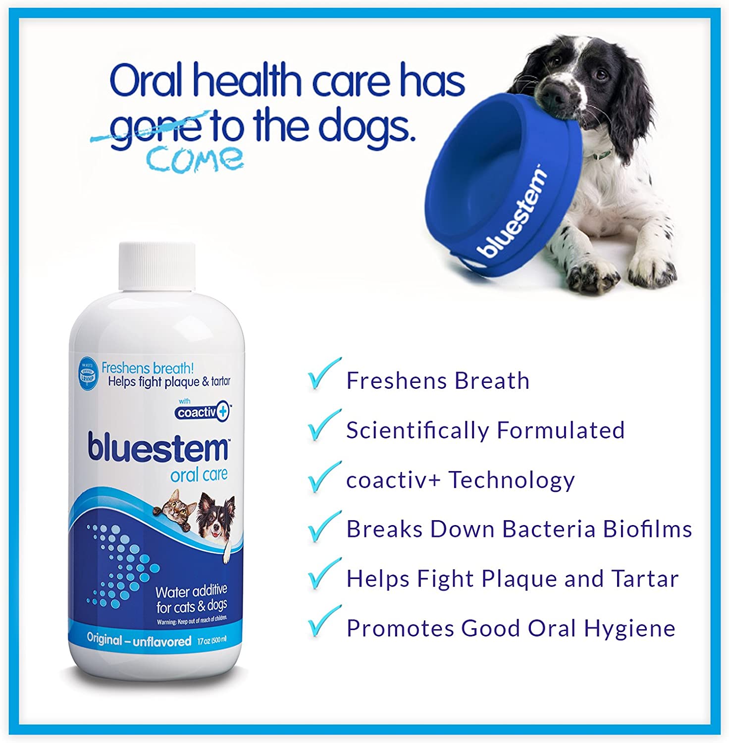 Bluestem Oral Care Additif pour eau pour chats et chiens (500 ml)