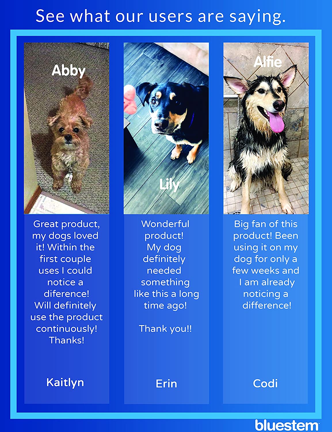 Bluestem Oral Care Additif pour eau pour chats et chiens (500 ml)