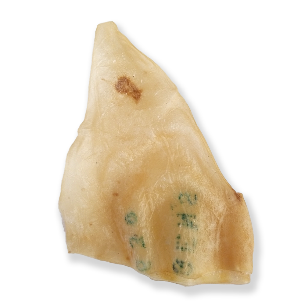 Bullsters Natural Pig Ear