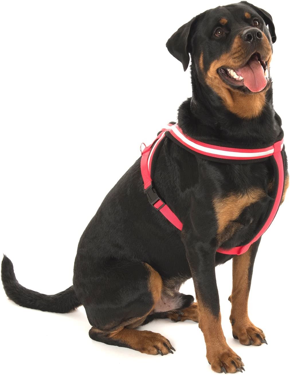 Company of Animals Reflective Comfy Harness, Red/Black