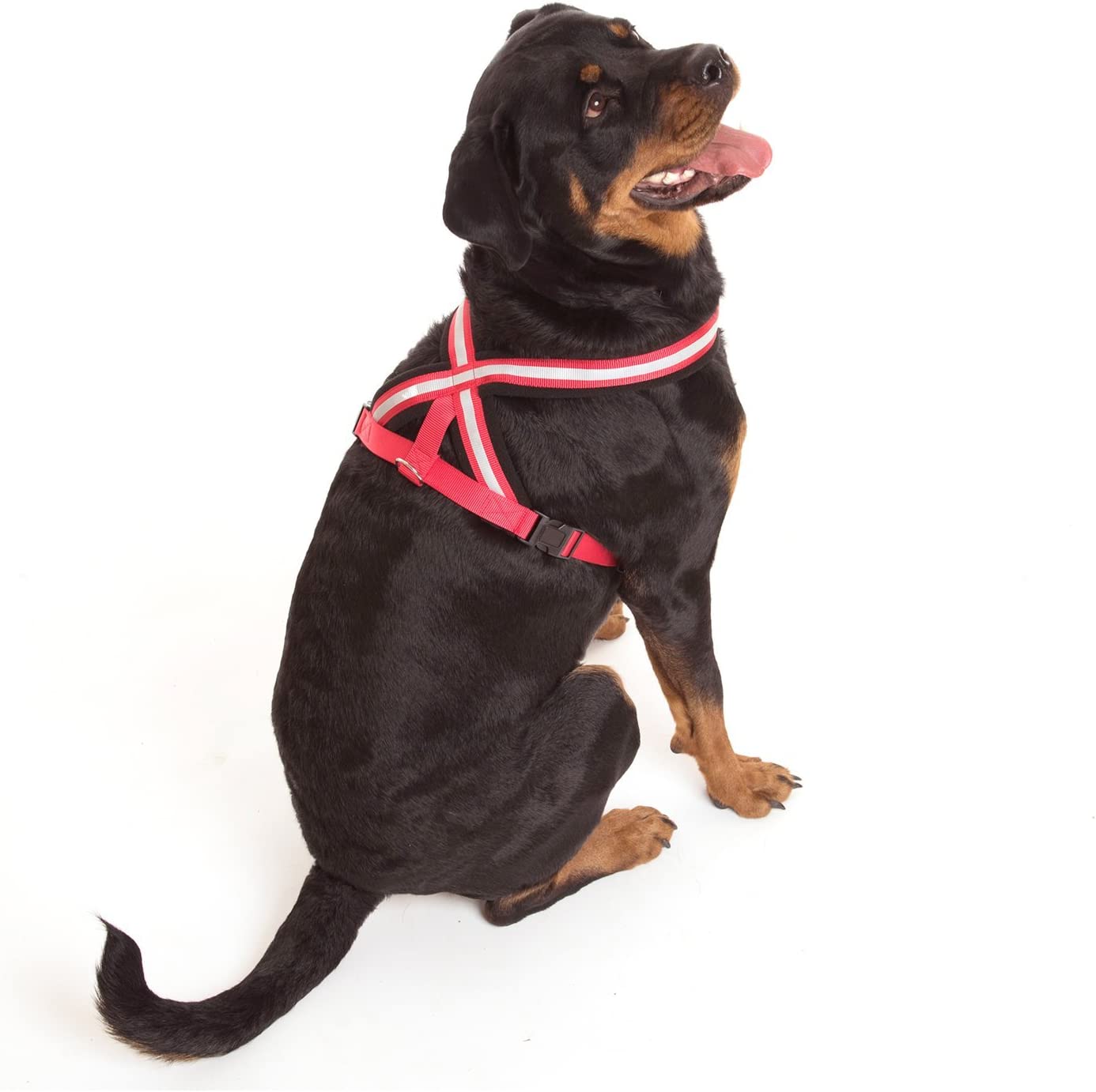 Company of Animals Reflective Comfy Harness, Red/Black
