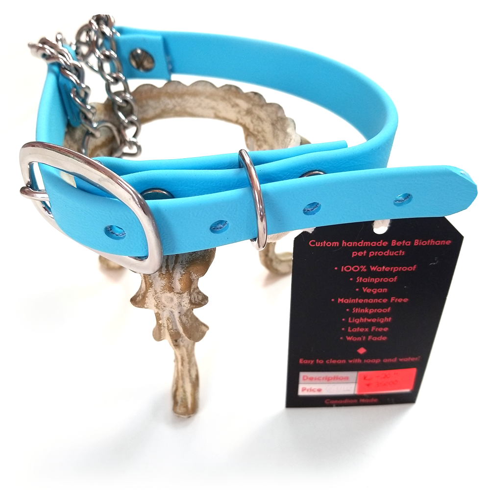 Collier pour chien Martingale fabriqué à la main Denali Design 16"-20" Beta Biothane en bleu bébé brillant
