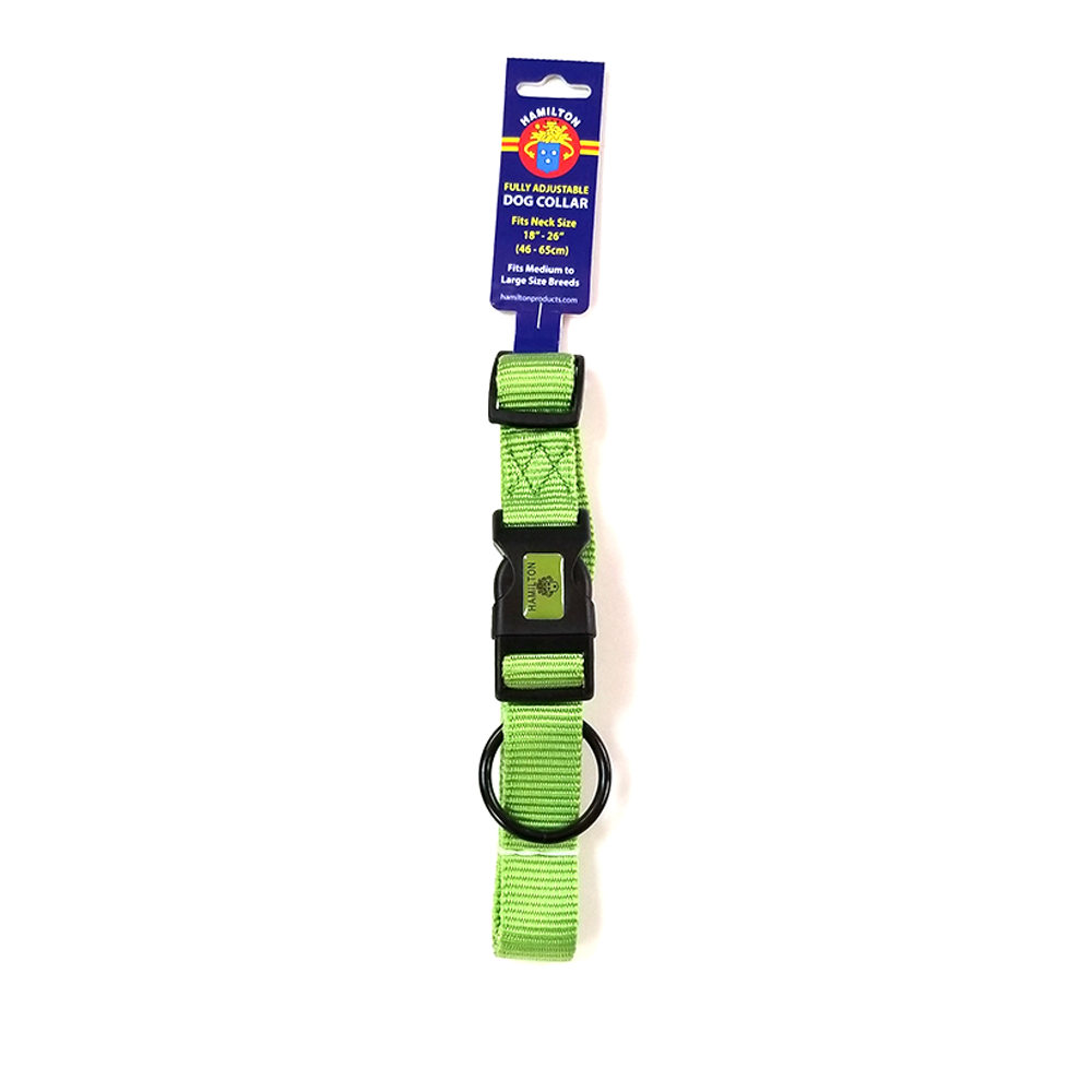 Hamilton adjustable online dog collar