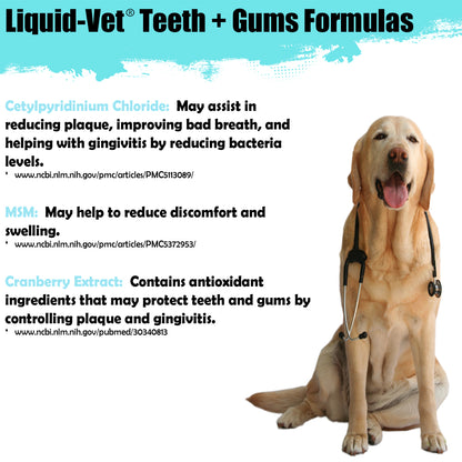 Liquid Vet Teeth & Gums Advanced Supplement Hypoallergenic, 227ml (2 pack)