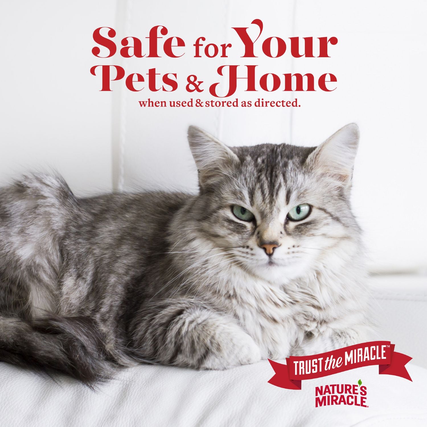 Nature's Miracle Mousse nettoyante pour bac à litière pour odeurs d'urine et fécales (496 g)