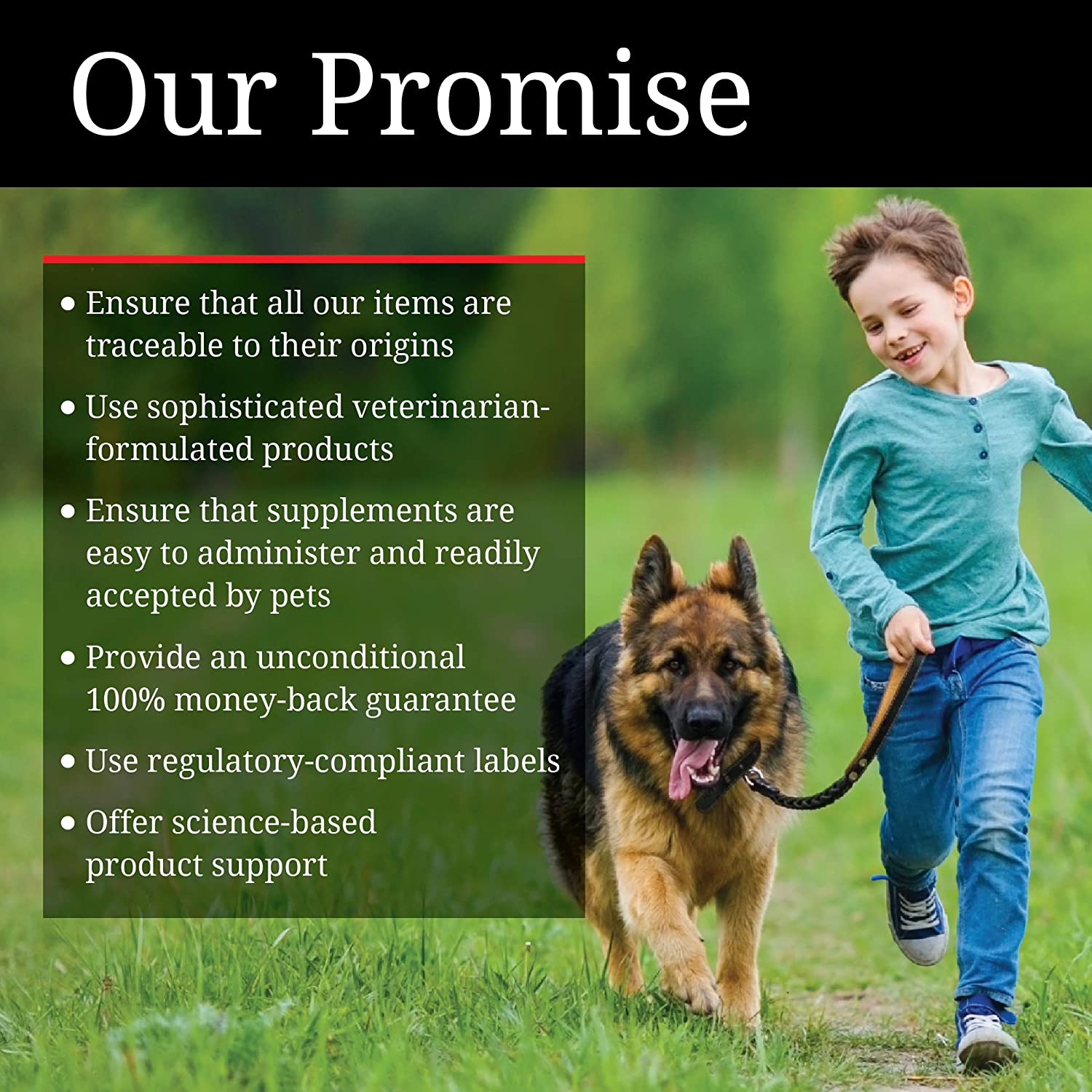 Dentifrice enzymatique NutriVet (70g)