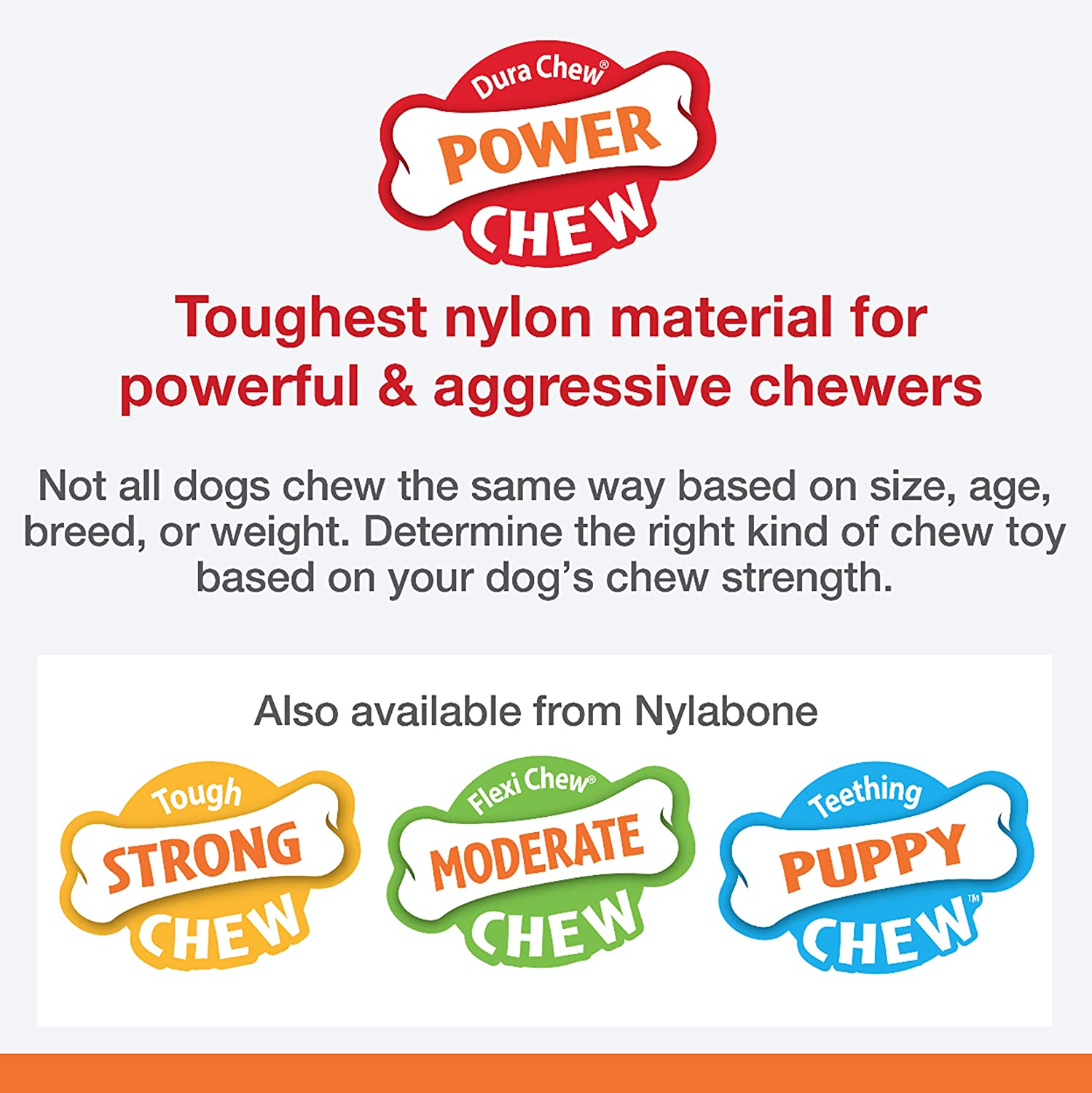 Nylabone Power Chew, à saveur de poulet, régulier