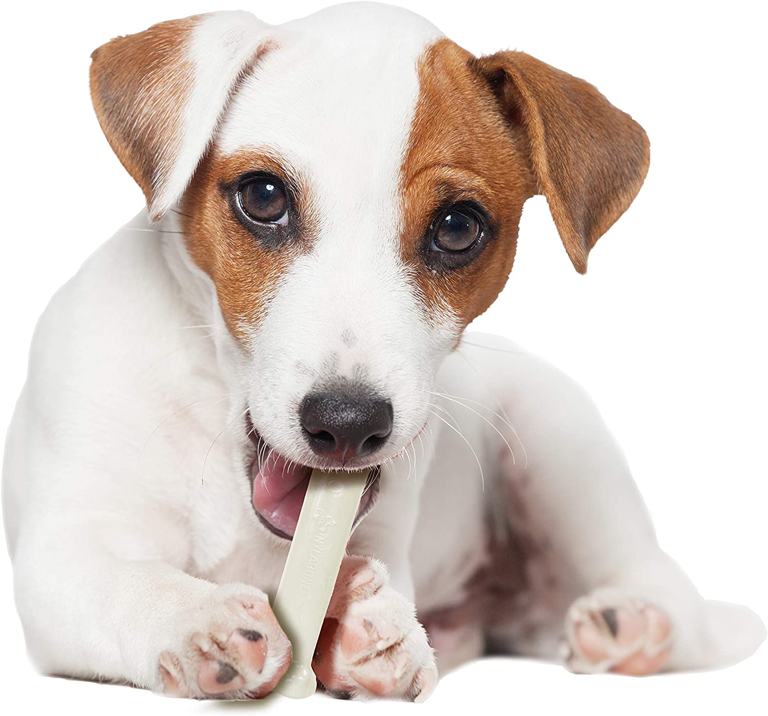 Nylabone Power Chew, saveur de poulet, loup