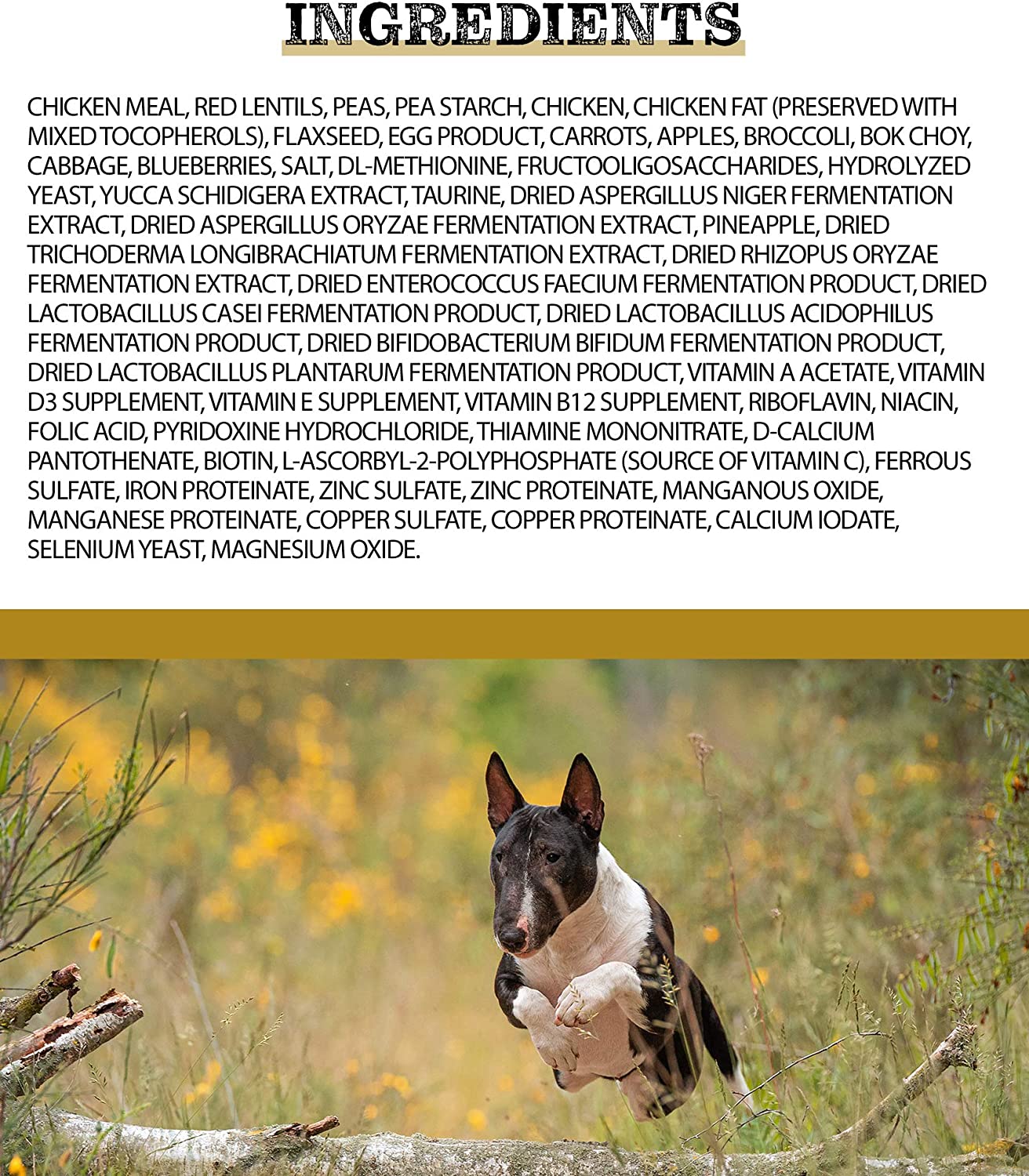 Pulsar All Life Stage, nourriture pour chiens toutes races, sans céréales, recette de repas de poulet