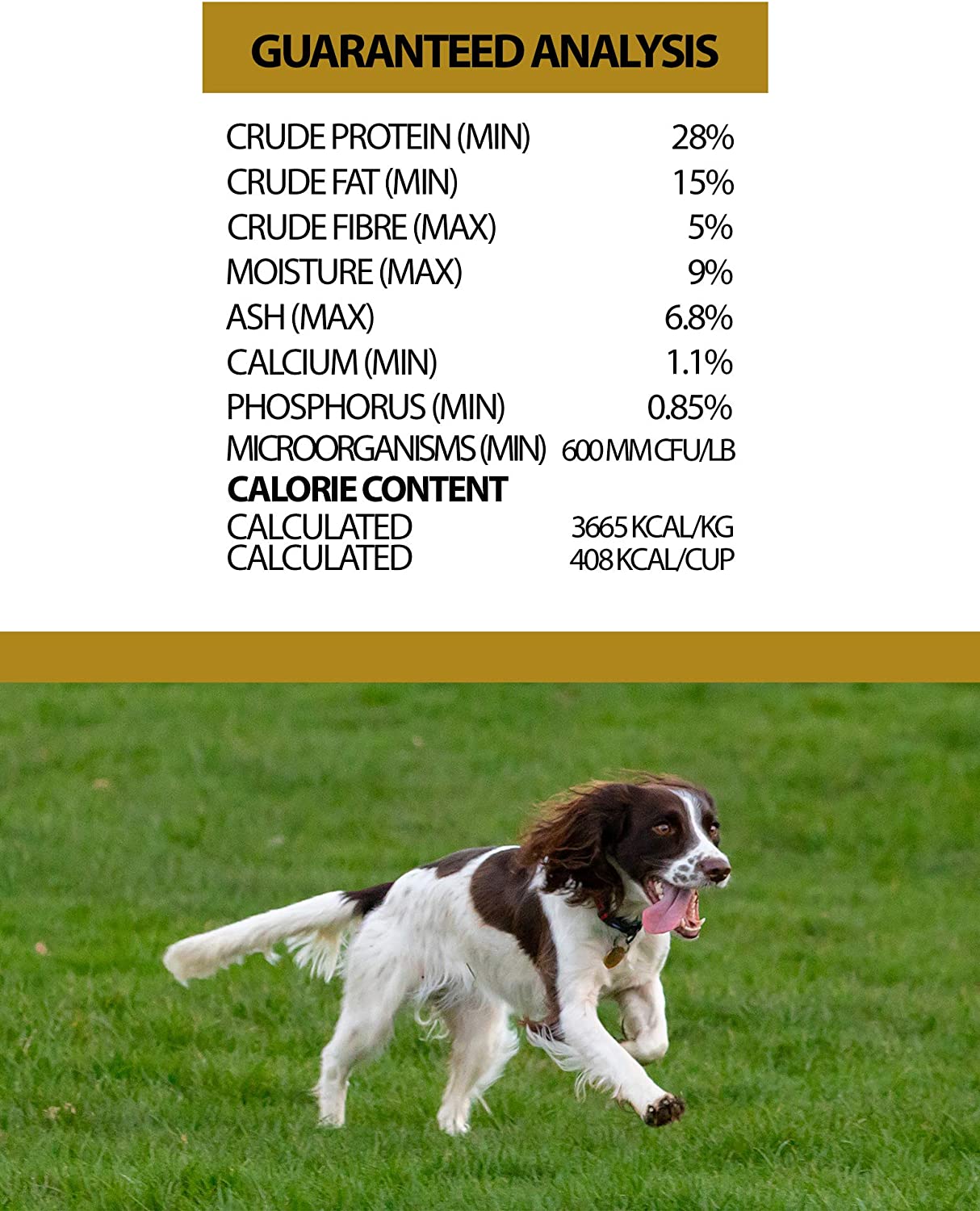 Pulsar All Life Stage, nourriture pour chiens toutes races, sans céréales, recette de repas de poulet