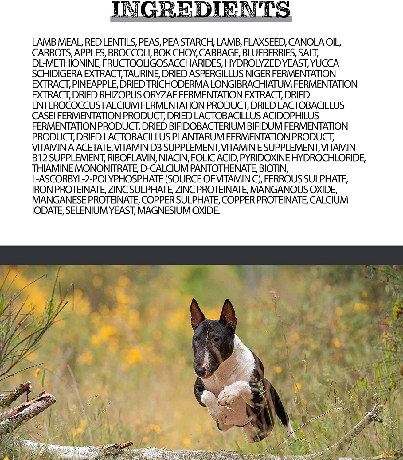 Pulsar All Life Stage, All Breed Dog Food, Grain-Free, Lamb Meal Recipe