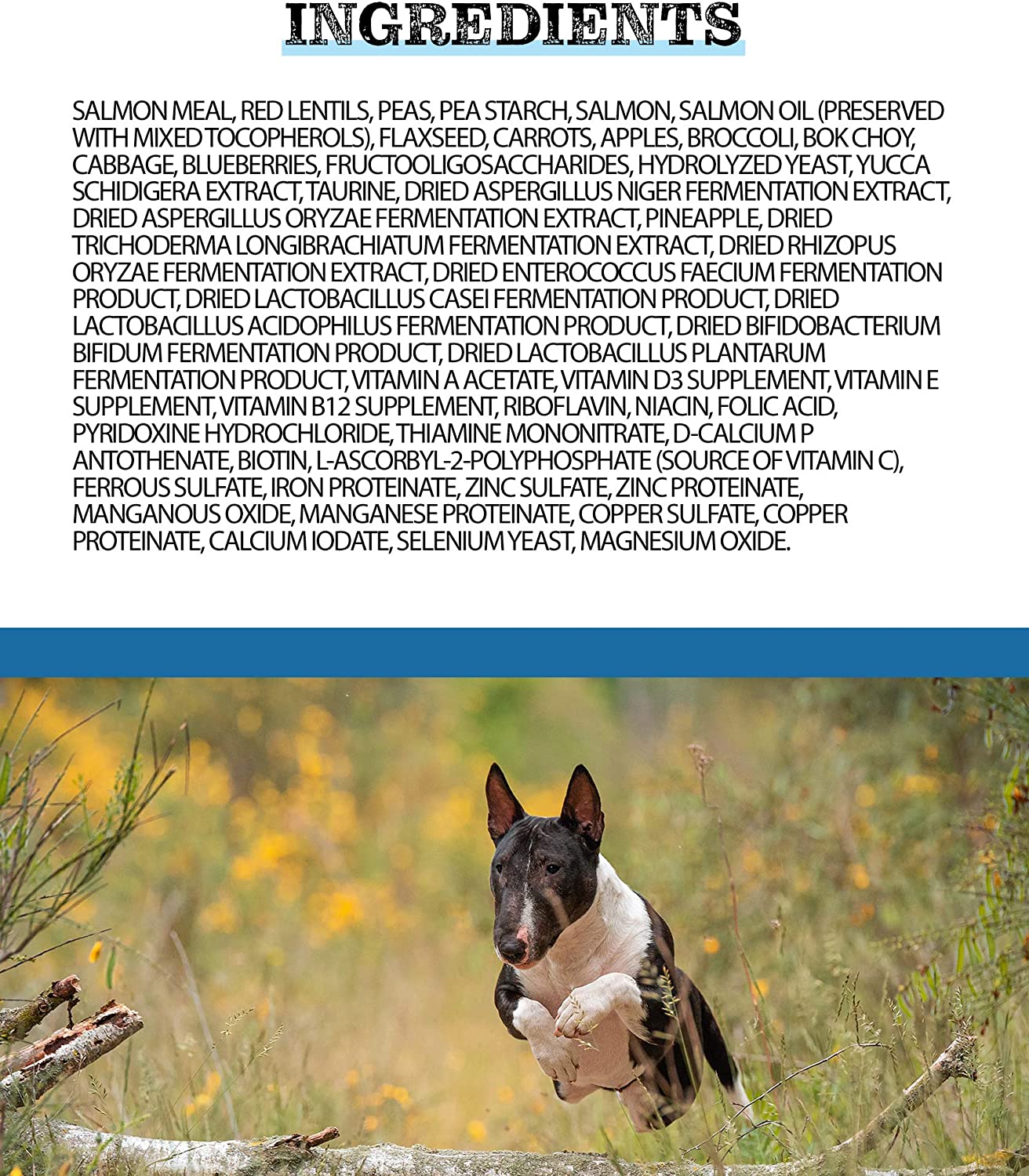 Pulsar All Life Stage, nourriture pour chiens toutes races, sans céréales, recette de farine de saumon