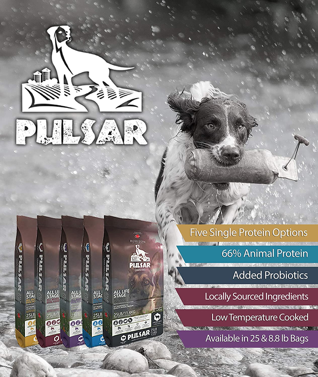 Pulsar All Life Stage, nourriture pour chiens toutes races, sans céréales, recette de farine de saumon