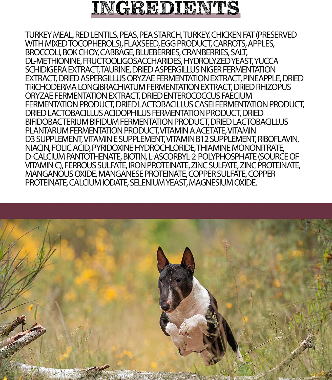 Pulsar All Life Stage, nourriture pour chiens toutes races, sans céréales, recette de repas de dinde