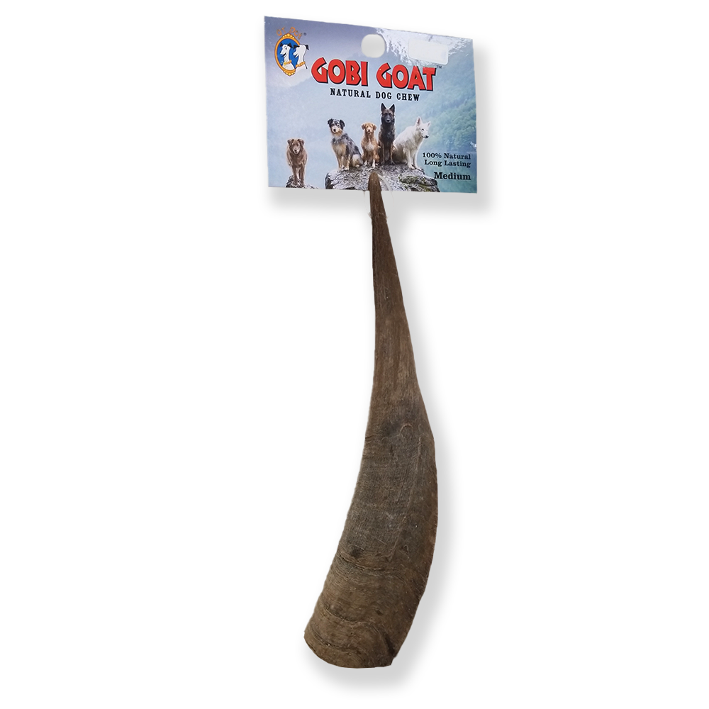 QT Dog Gobi Corne de Chèvre à Mâcher Naturelle