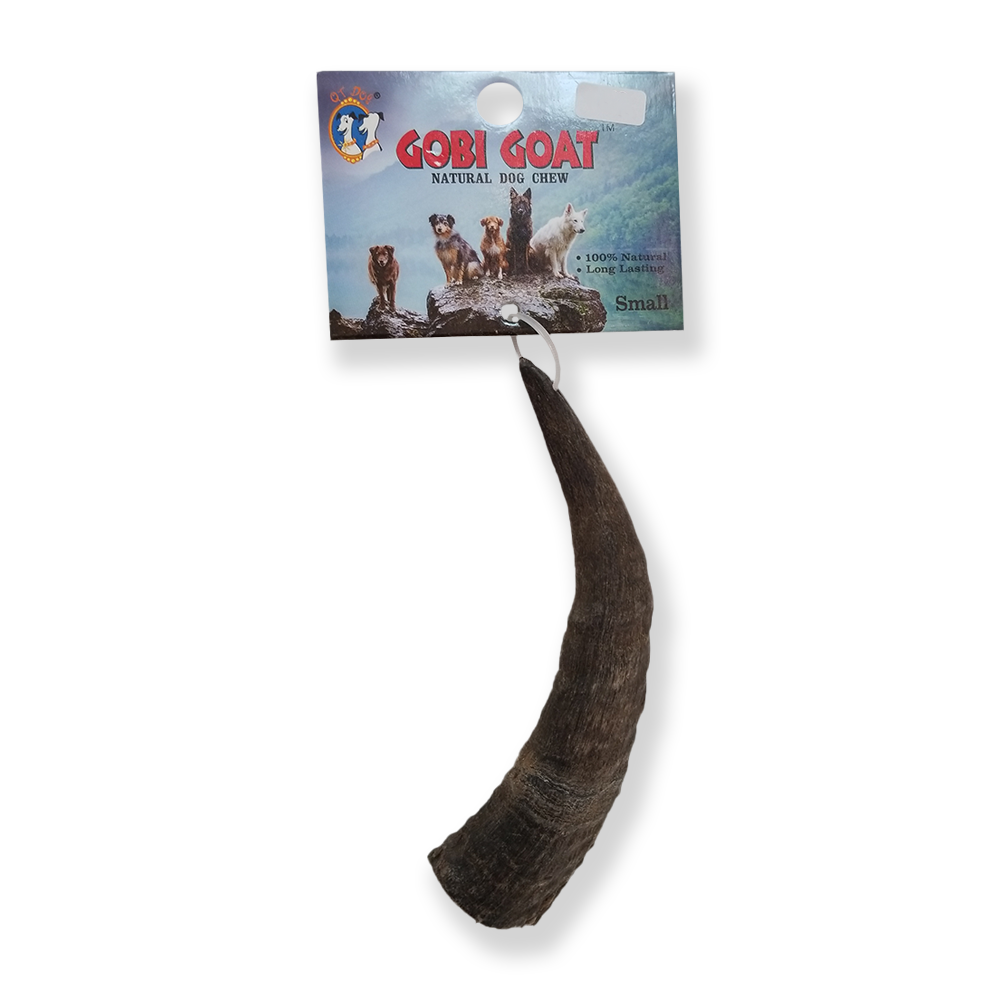 QT Dog Gobi Corne de Chèvre à Mâcher Naturelle