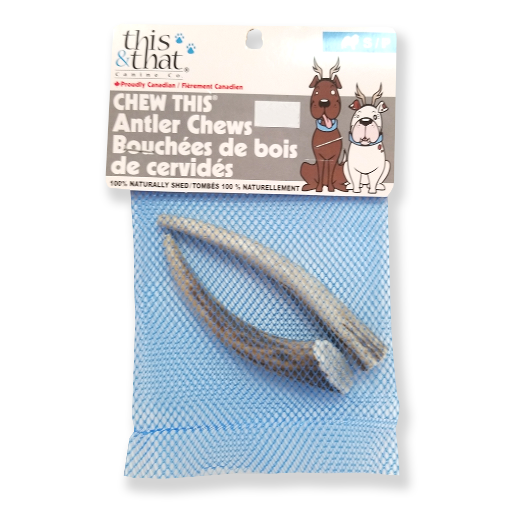 Ceci et cela mâchent ceci, bois entier à mâcher, petit