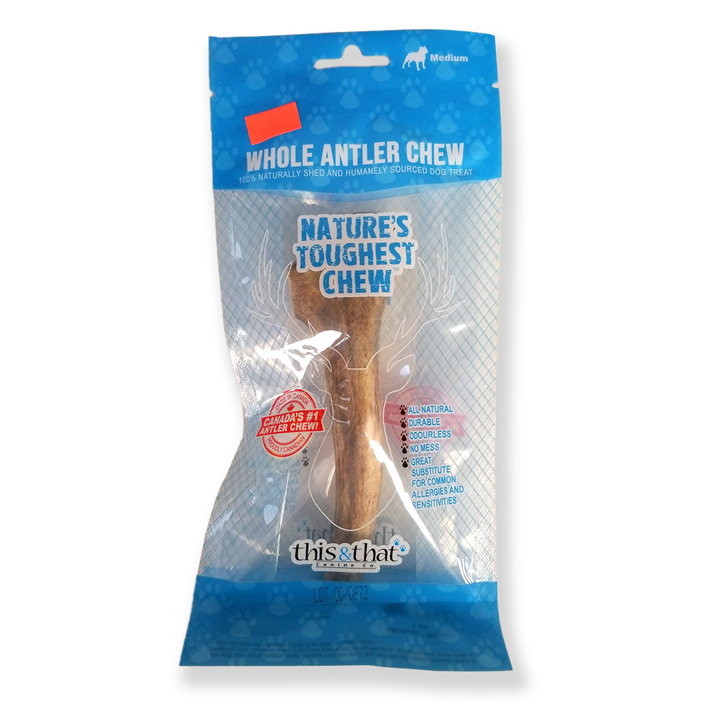 Ceci et cela à mâcher en bois entier (moyen)