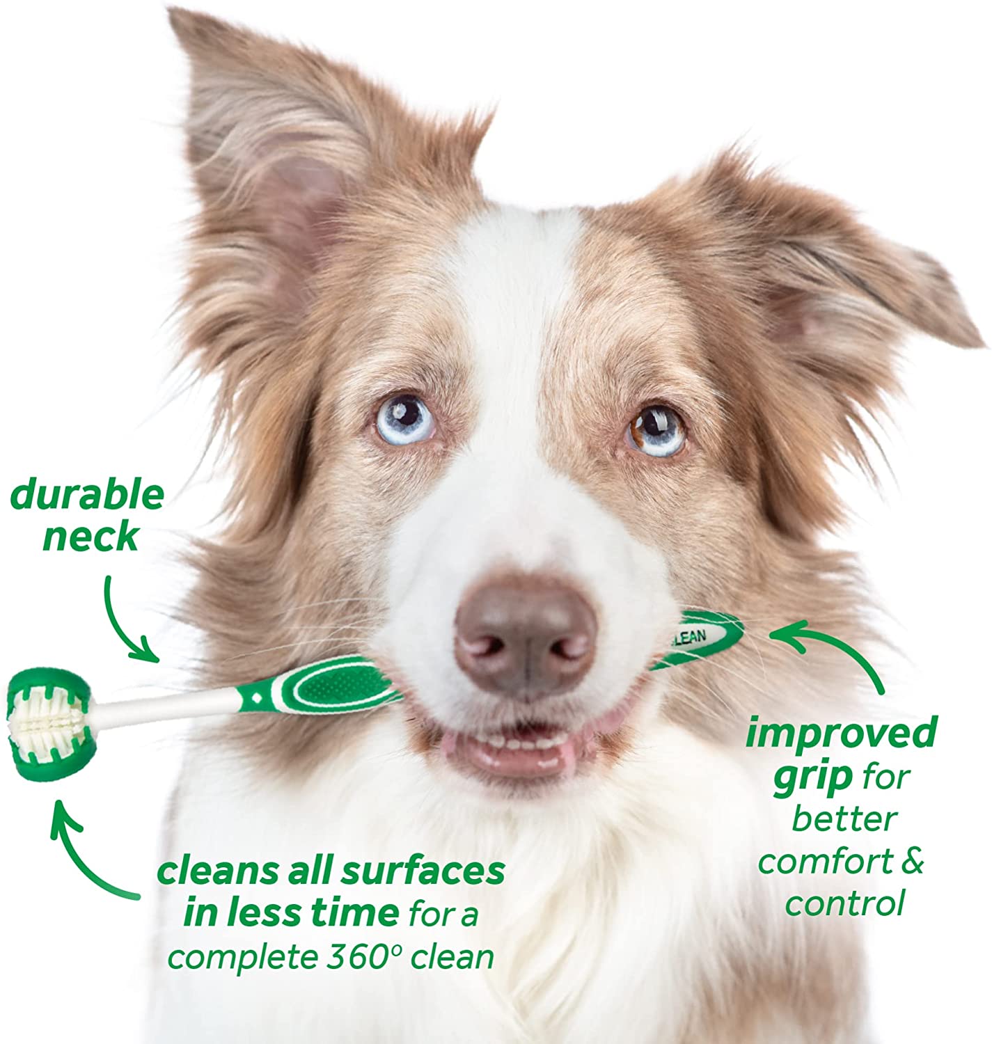 Kit de soins bucco-dentaires Tropiclean pour grands chiens