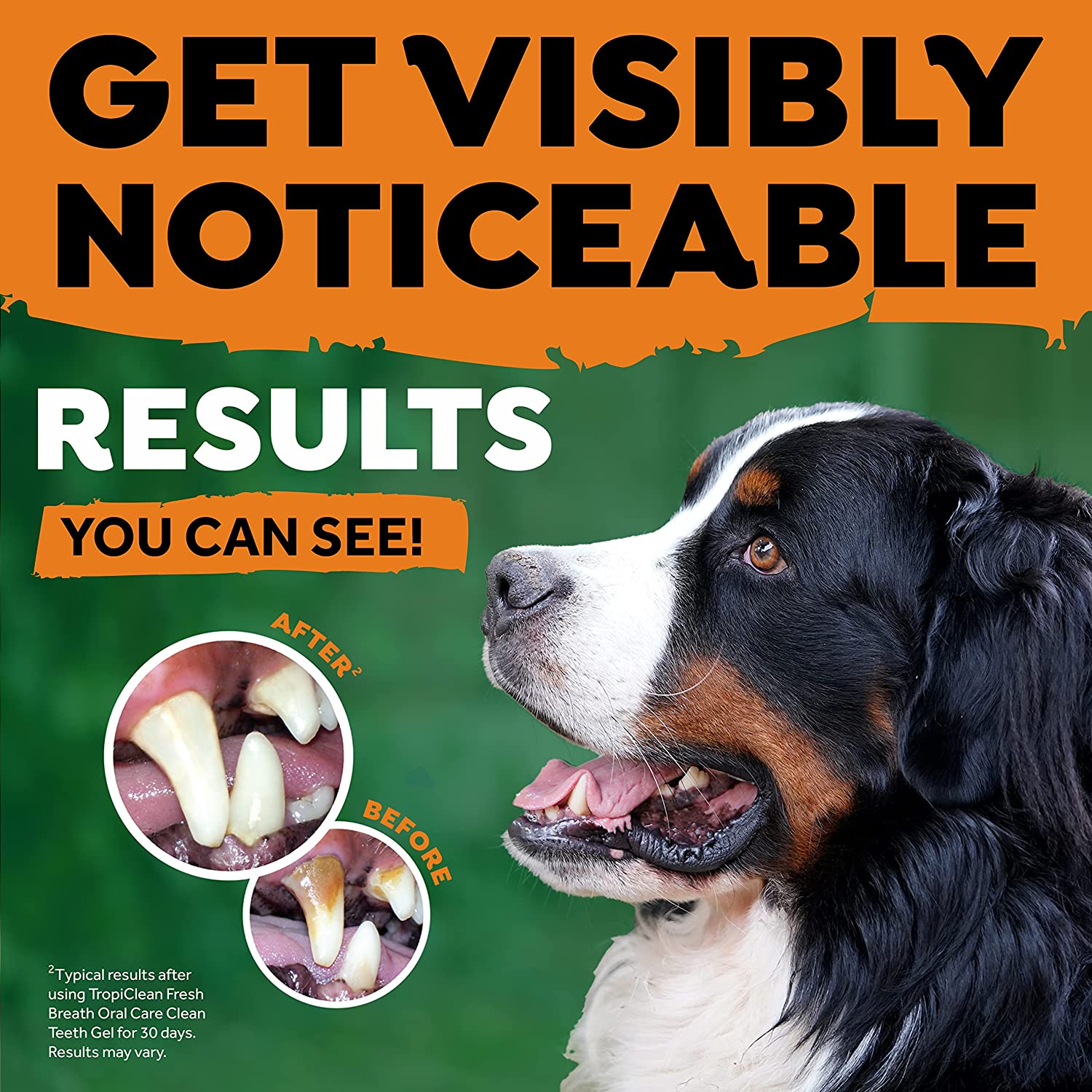 Kit de soins bucco-dentaires Tropiclean pour grands chiens