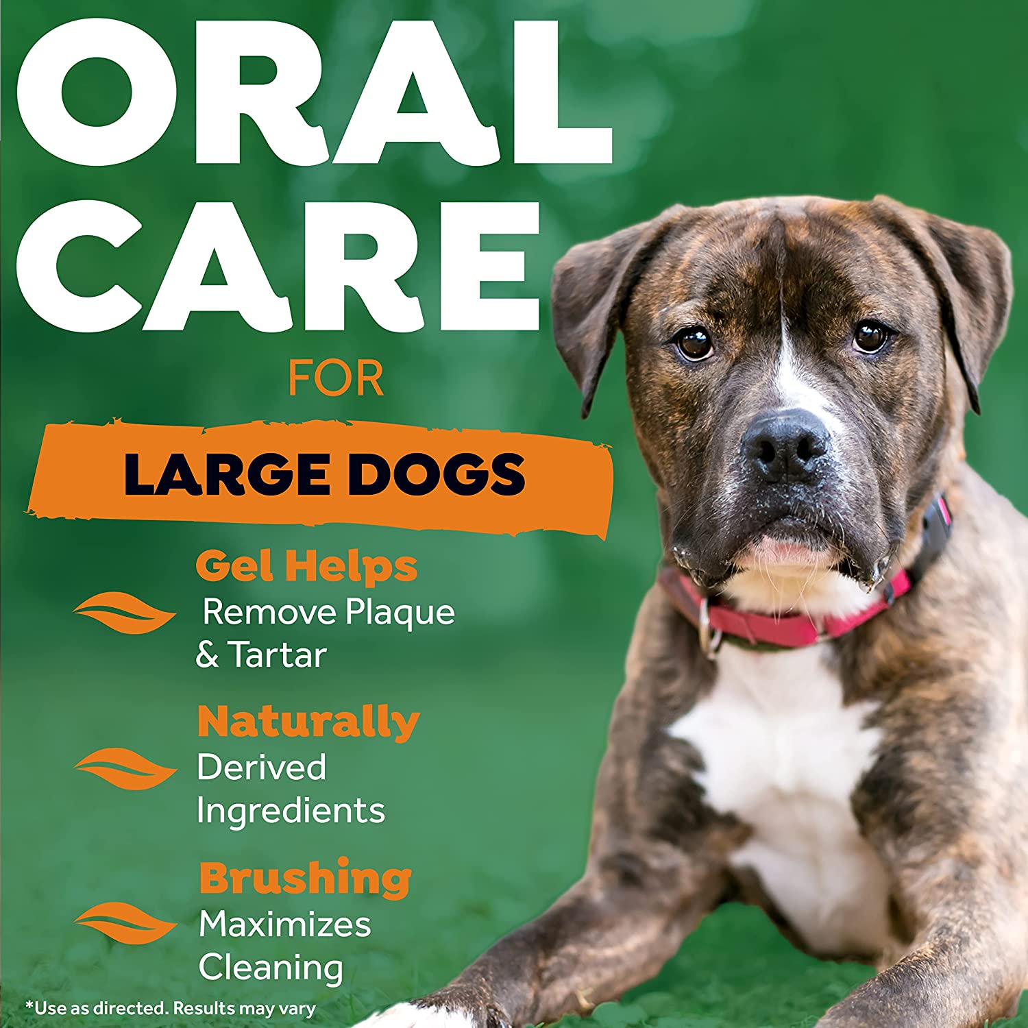 Kit de soins bucco-dentaires Tropiclean pour grands chiens