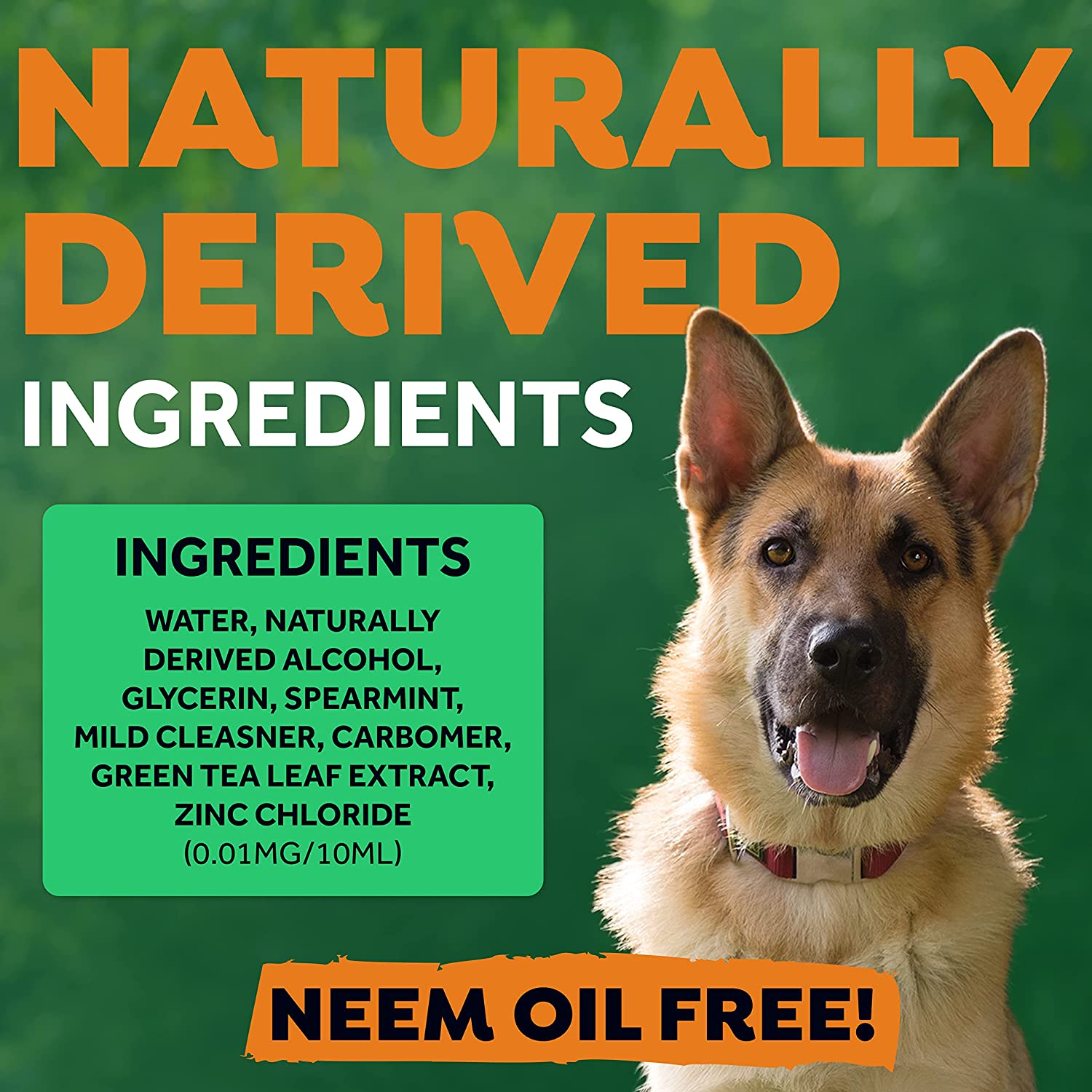 Kit de soins bucco-dentaires Tropiclean pour grands chiens