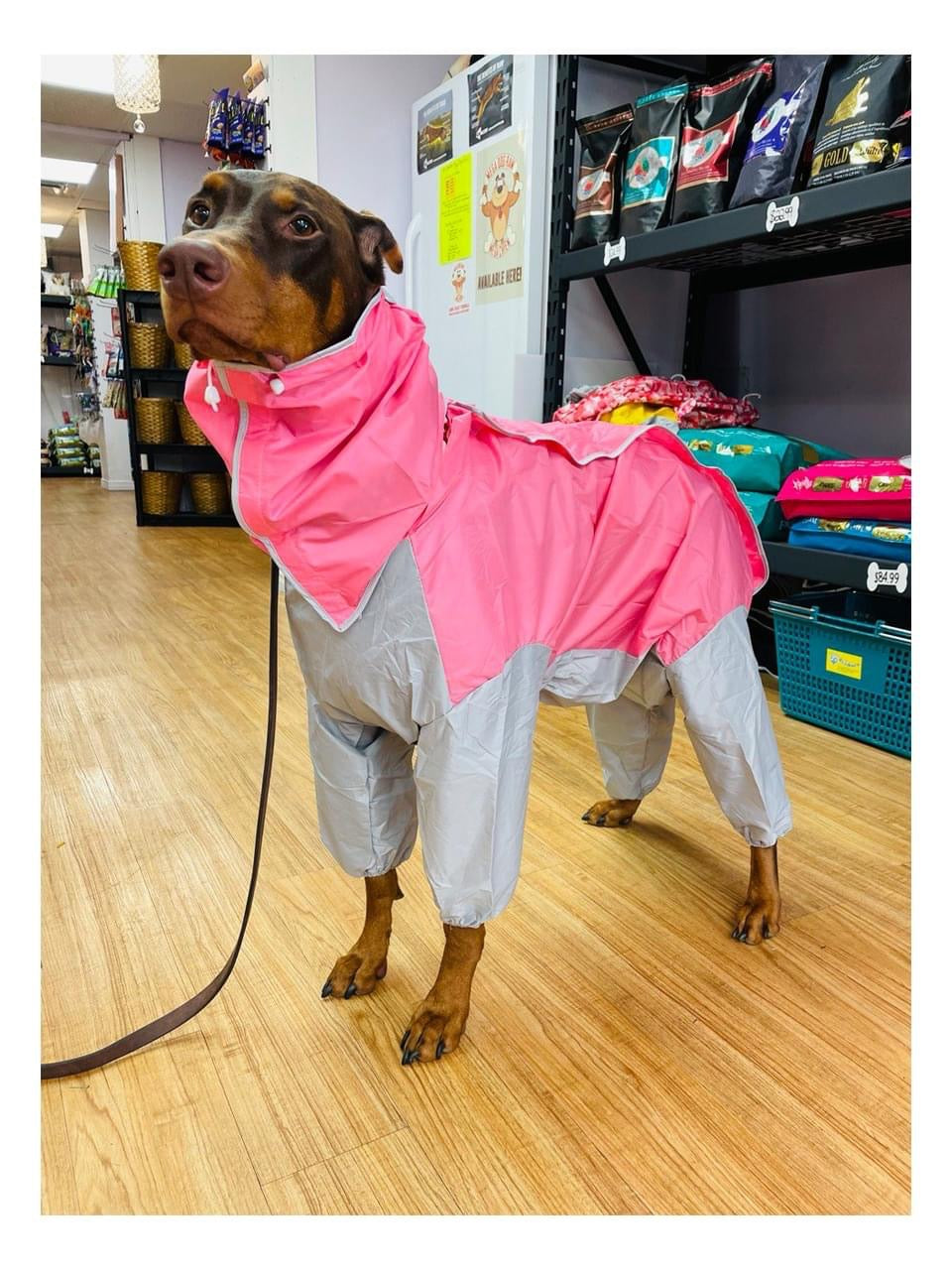 Large Dog Nylon Dry Suit/ Rain Suit