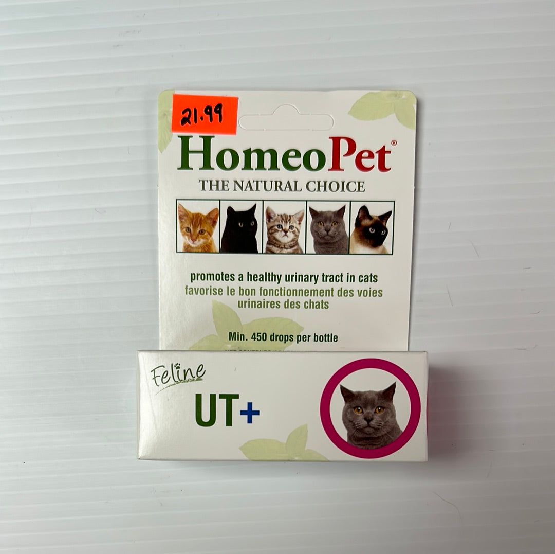 Homeopet Feline UT+ favorise la santé des voies urinaires chez les chats