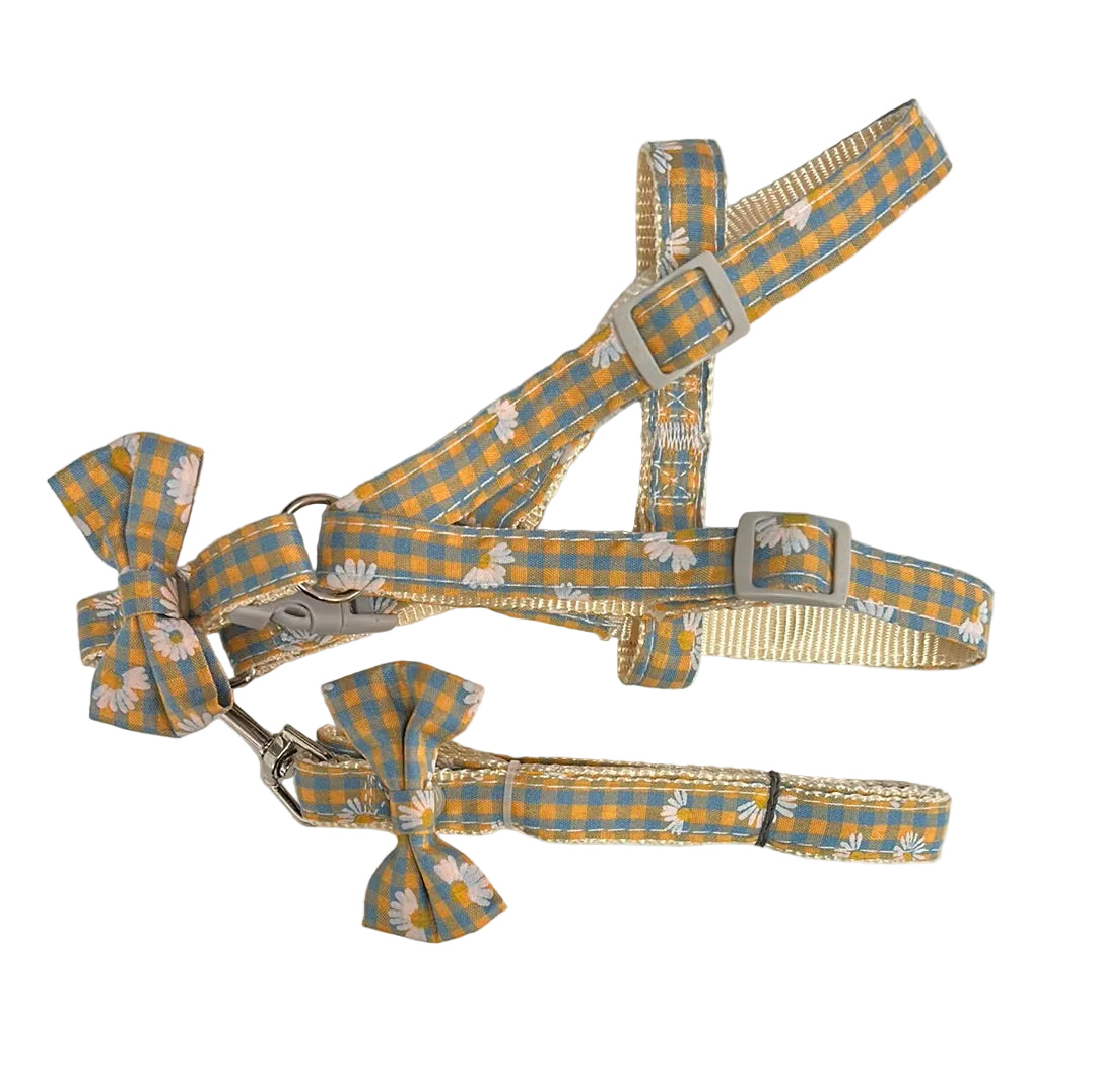 Ensemble combiné harnais et laisse fleuris