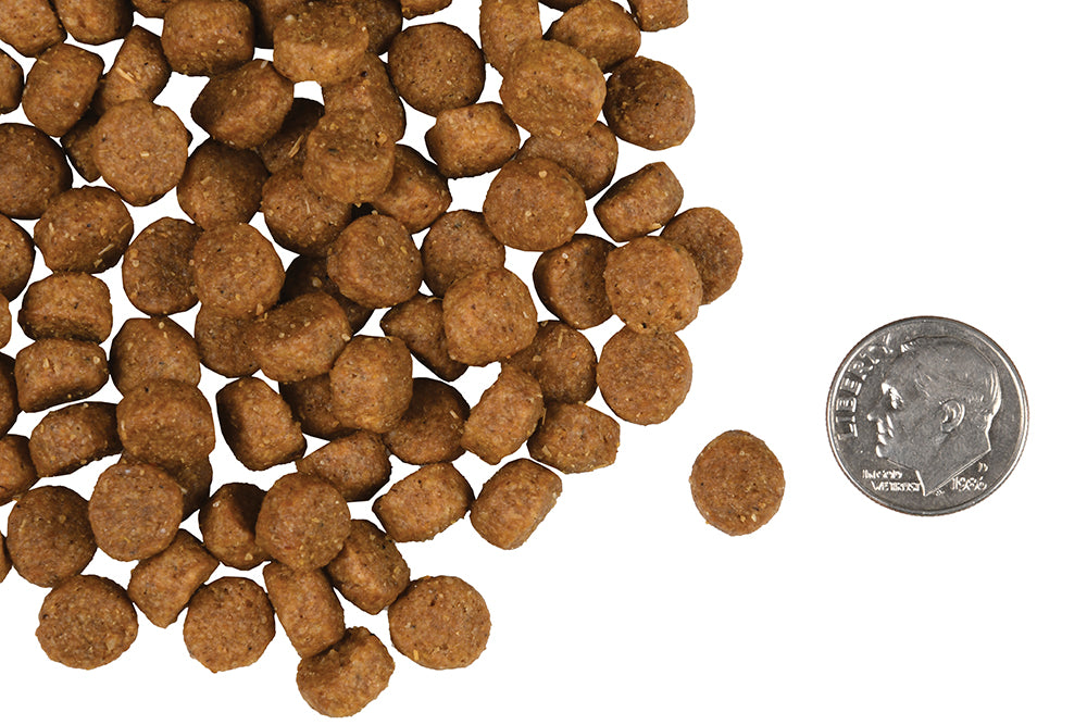 Fromm Family, petite race adulte doré, 2,3 kg