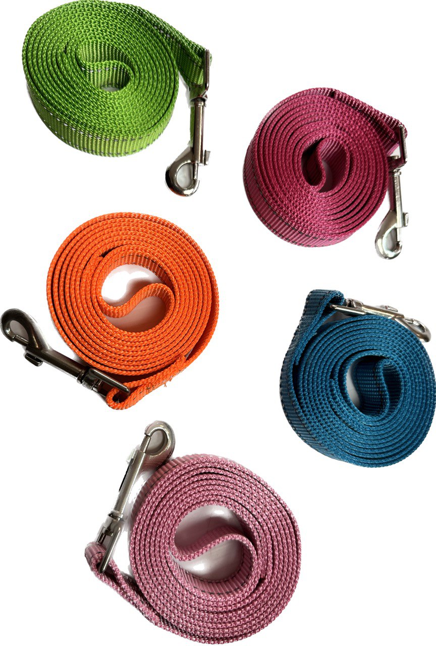Solid Colour 5’ X 3/4” Leashes with Reflective Stitching