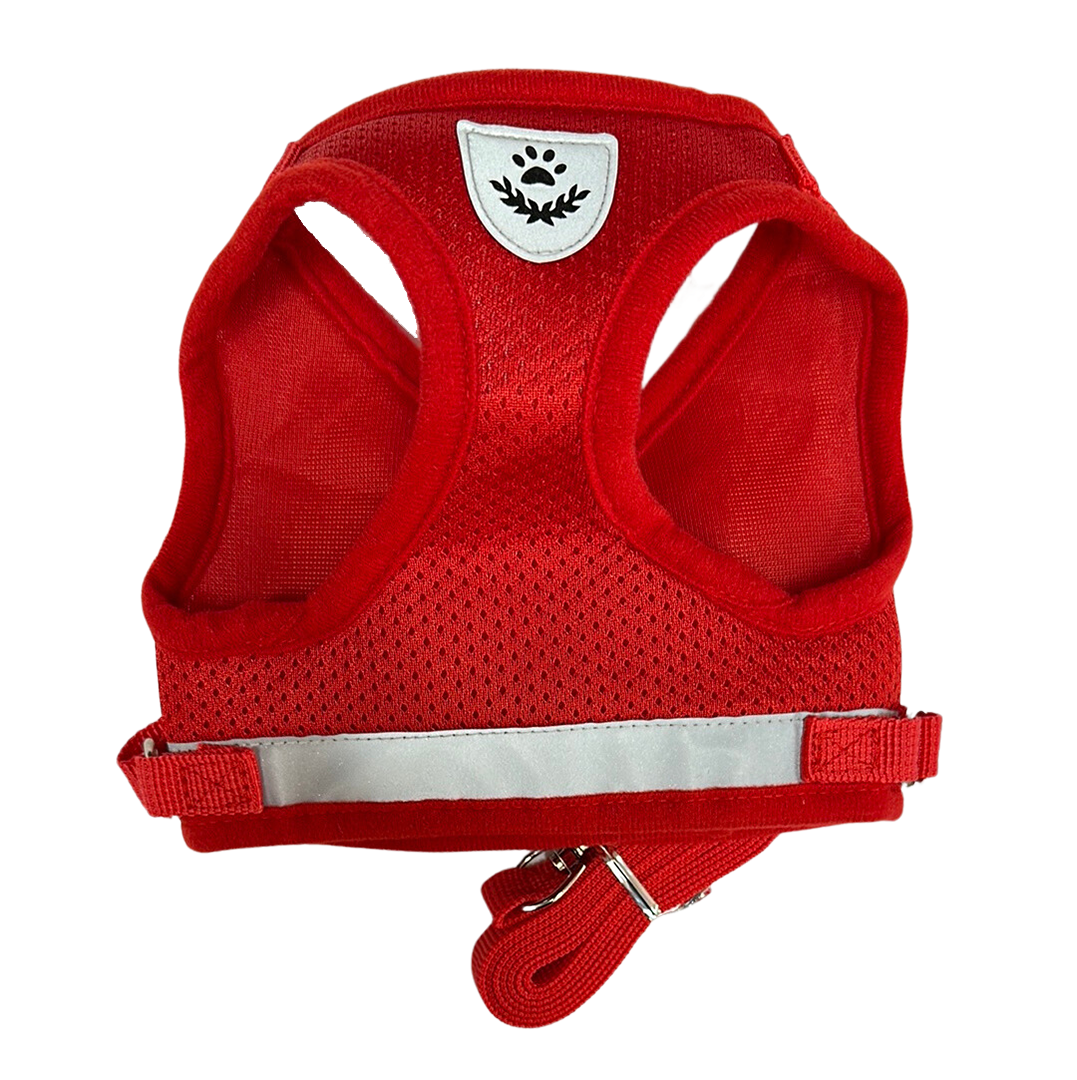 Crested Comfort Mesh Harness & Leash Set