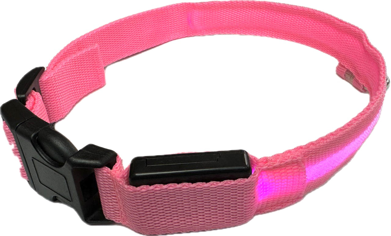 Lighted Nylon Collars with Quick Flash, Flash & Steady-On Functions